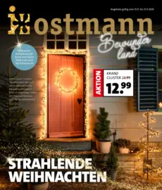 Blumen Ostmann - Strahlende Weihnachten