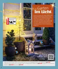 Blumen Ostmann - Strahlende Weihnachten