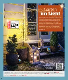 Blumen Ostmann - Strahlende Weihnachten