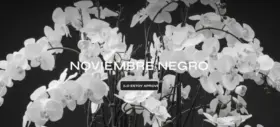 Noviembre Negro