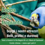 Agri Pet Offerte Agri Pet - al 25.11.2025