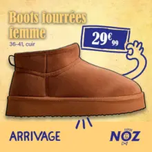 Boots fourrées femme