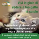 Agri Pet Offerte Agri Pet - al 26.11.2025