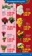 ЛИДЛ Празнуваме с любими продукти на ниска цена в ЛИДЛ с валидност до 23.11.2025 - от 17-11-25