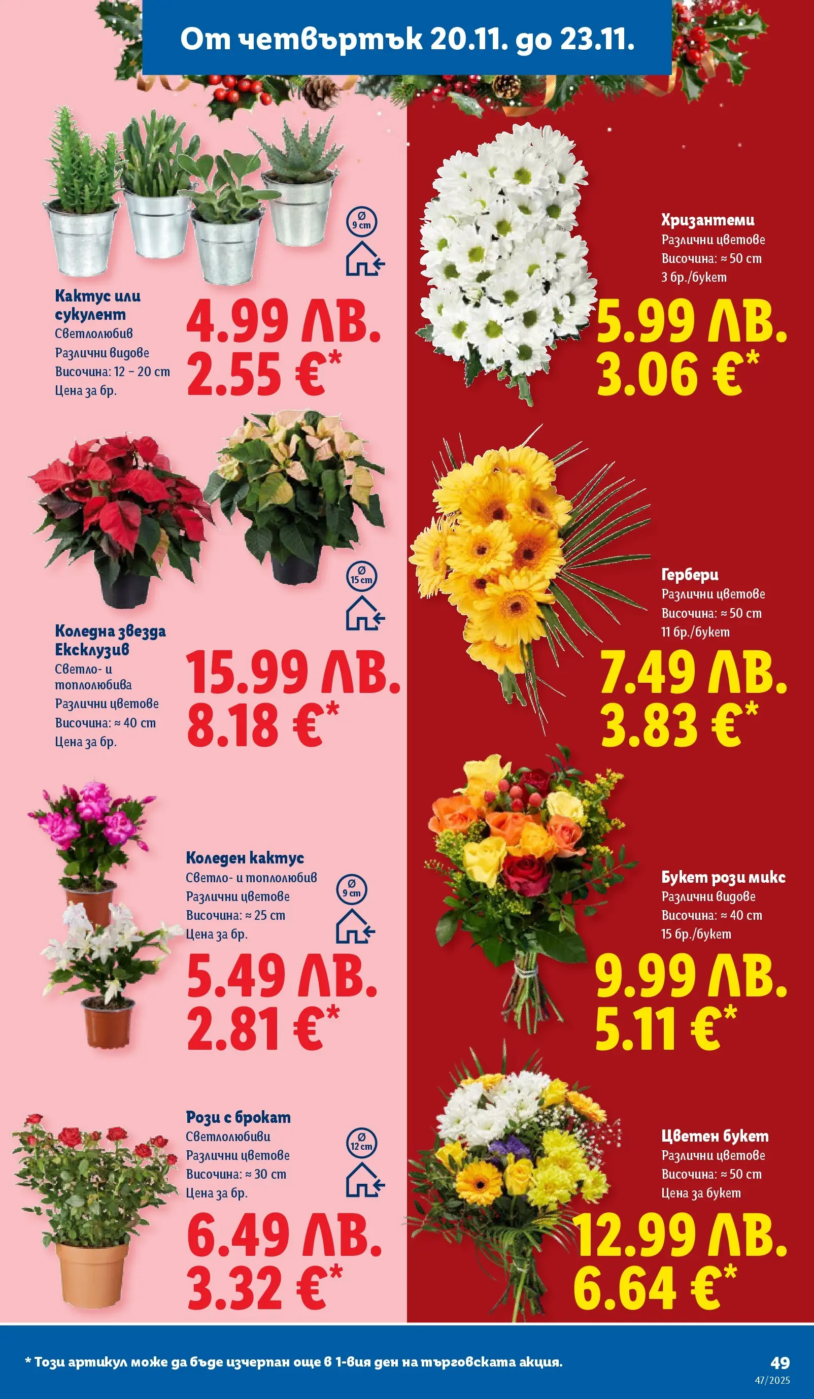 Лидл - Празнуваме с любими продукти на ниска цена в ЛИДЛ с валидност до 23.11.2025 от 16.11.2025 | Страница: 49