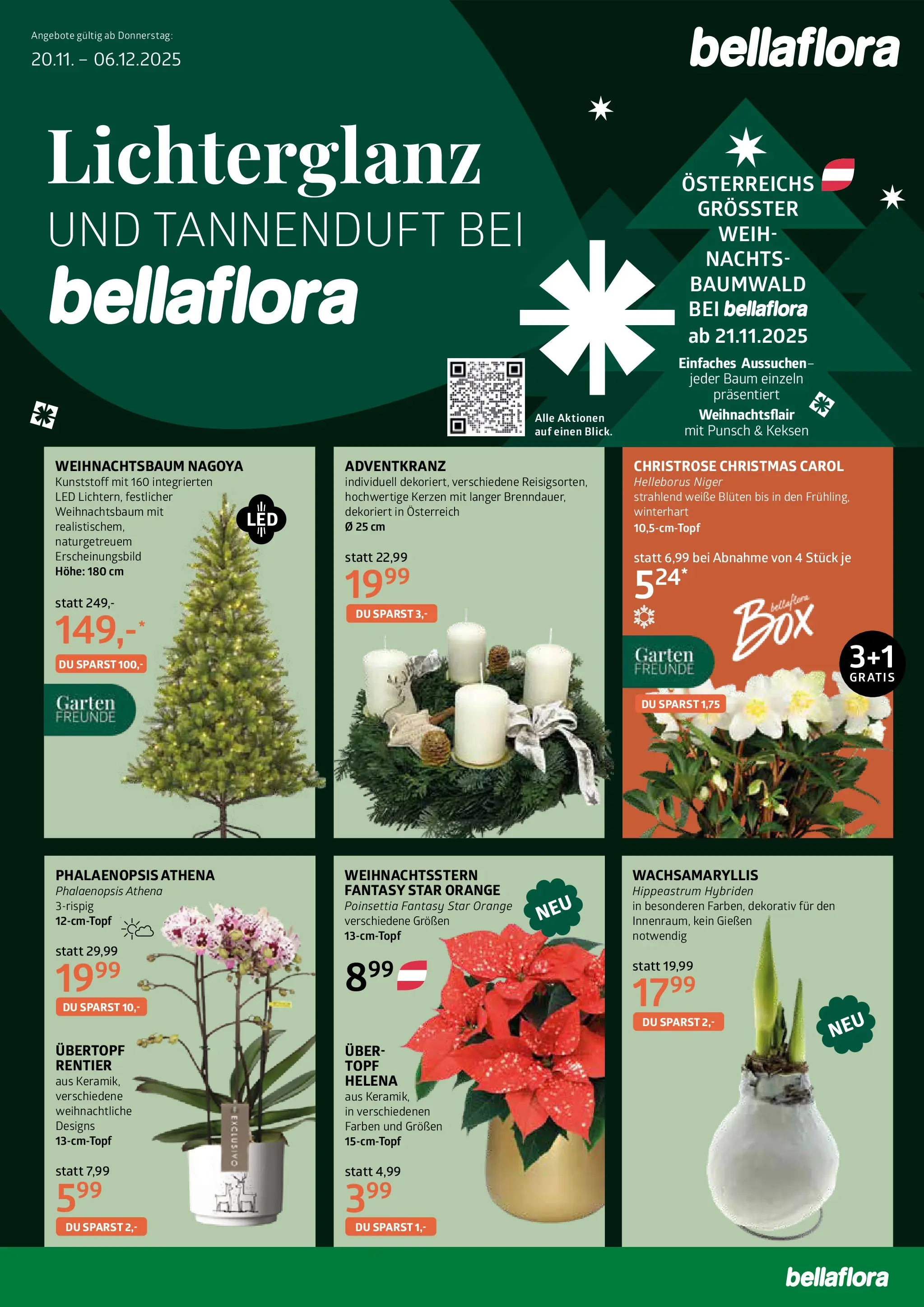 bellaflora - Bellaflora: Flugblatt von 19.11.2025 - Aktuelle Angebote | Seite: 1