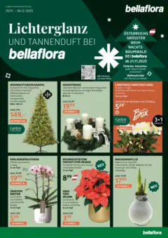 bellaflora - Bellaflora: Flugblatt ab 19.11.2025 gültig bellaflora - Bellaflora: Flugblatt ab 19.11.2025 gültig