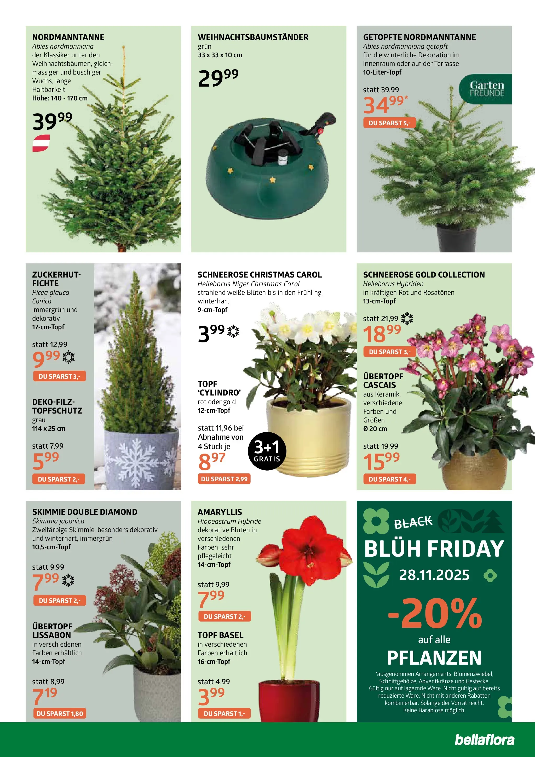 bellaflora - Bellaflora: Flugblatt von 19.11.2025 - Aktuelle Angebote | Seite: 7