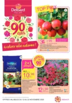 Delbard TOP PRIX ! - au 23.11.2025