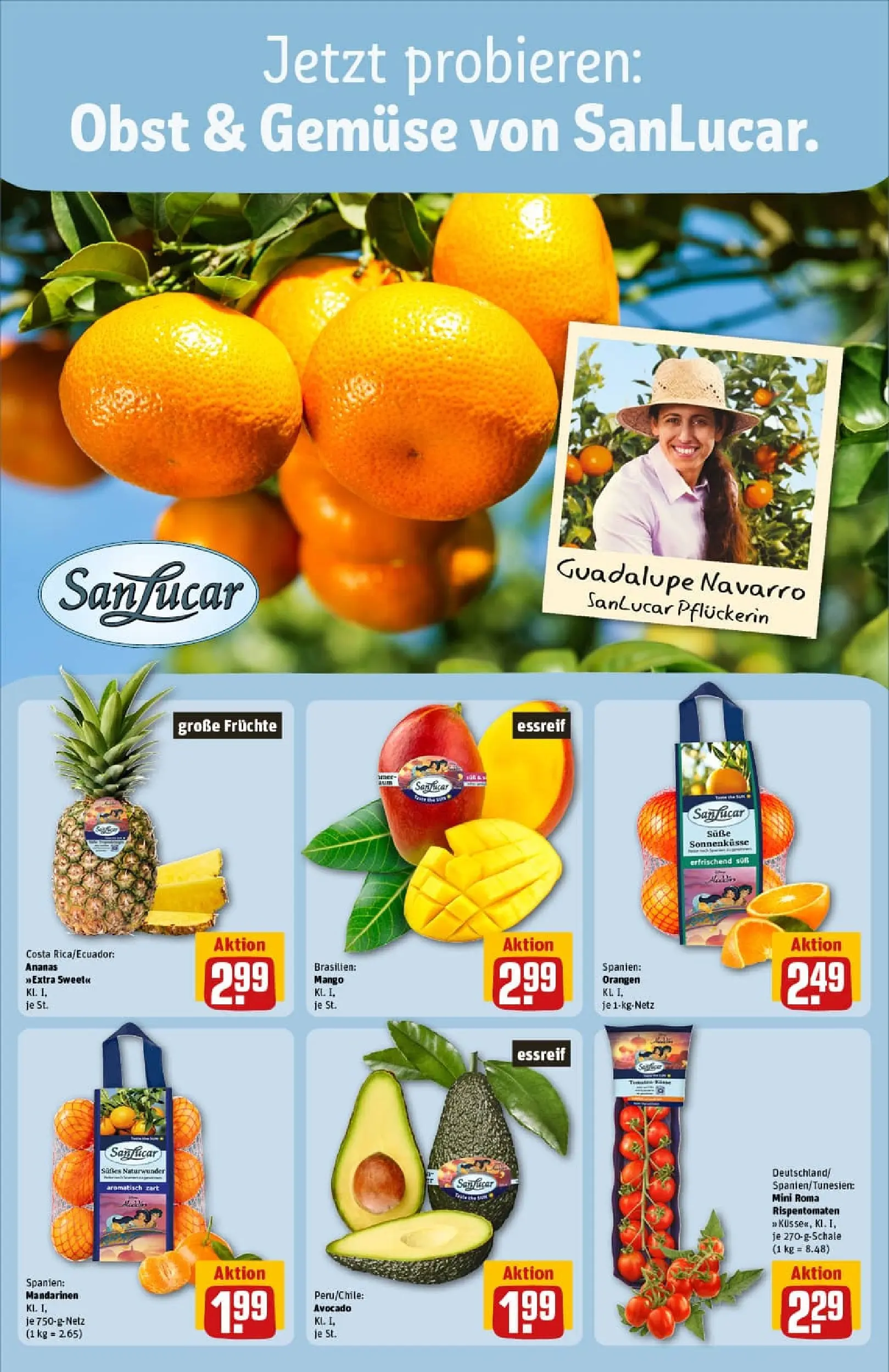 REWE Prospekt ab 17.11.2025 zum Blättern » Angebote | Seite: 10 | Produkte: Hahnchen, Burger, Steak, Ente