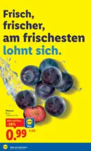 Lidl Lidl: Flugblatt in deiner Nähe - ab 20.11.2025
