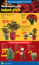 Lidl Lidl: Flugblatt in deiner Nähe - ab 20.11.2025