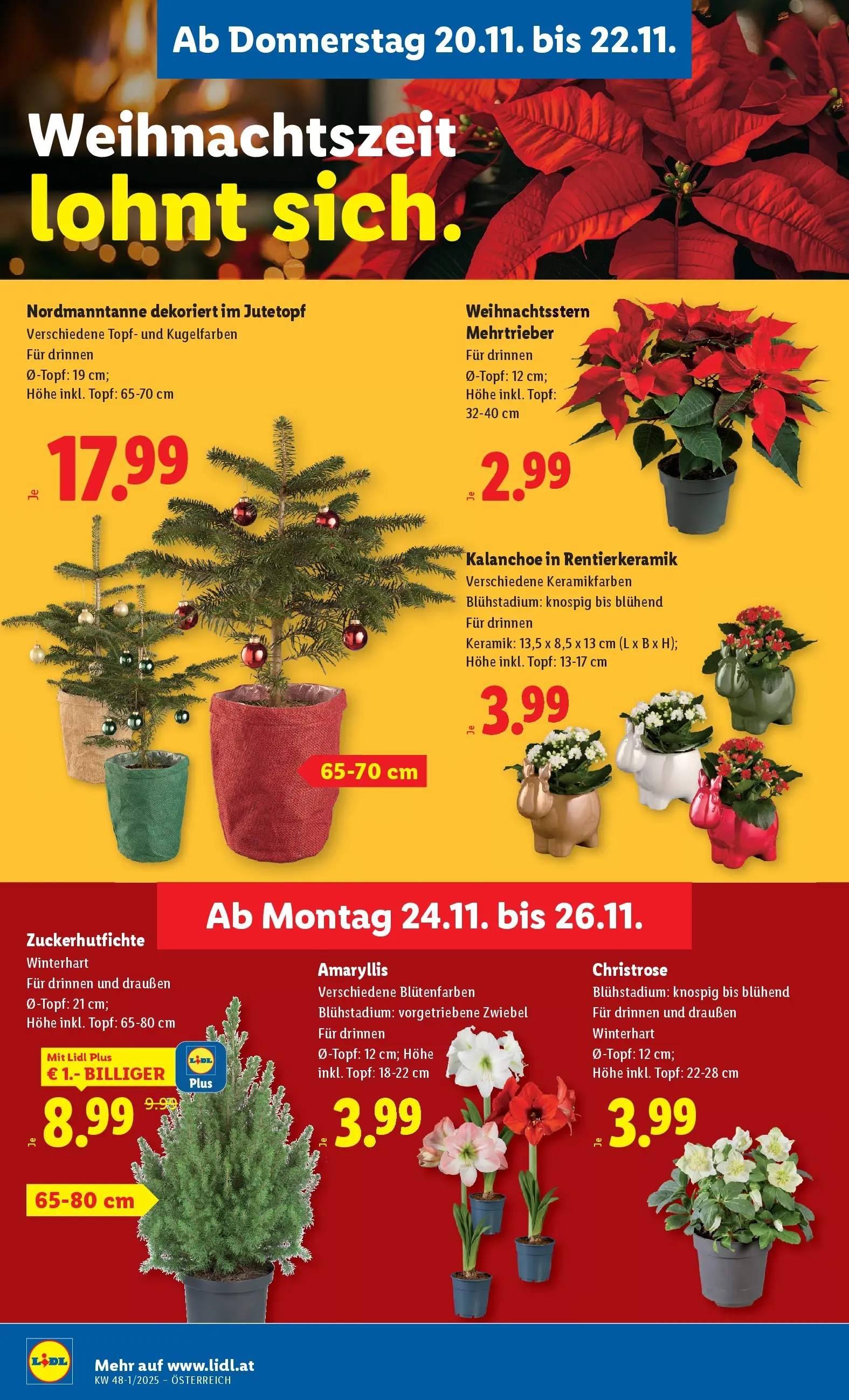 Lidl - Lidl: Flugblatt in deiner Nähe ab 19.11.2025 - Angebote ab donnerstag | Seite: 26
