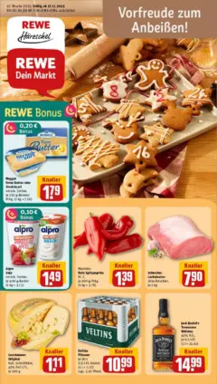 Rewe prospekt Leipzig	 ab 17.11.2025 gültig