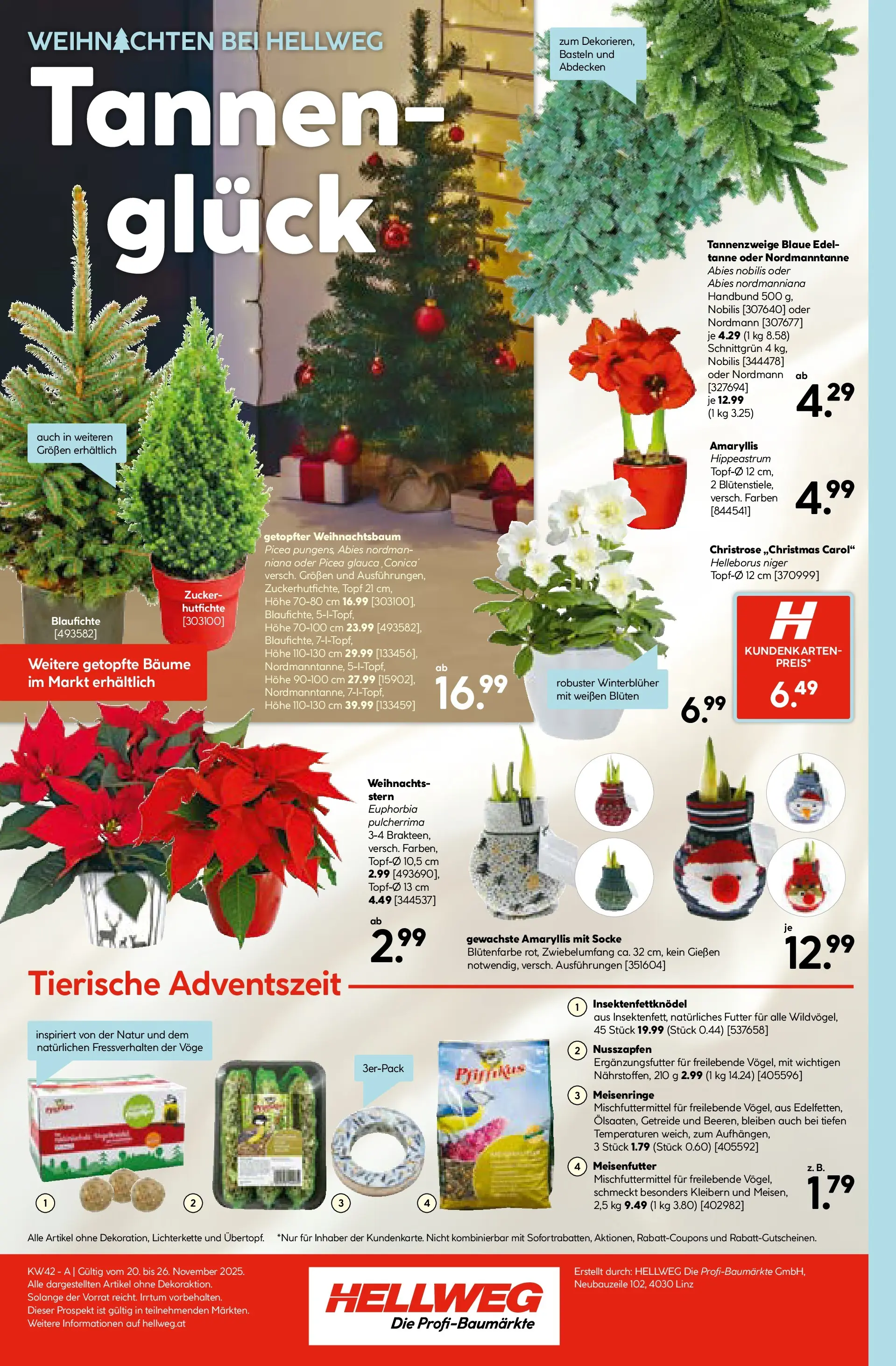 HELLWEG Kirchdorf An Der Krems von 19.11.2025 - Aktuelle Angebote | Seite: 16 | Produkte: Getreide, Zucker