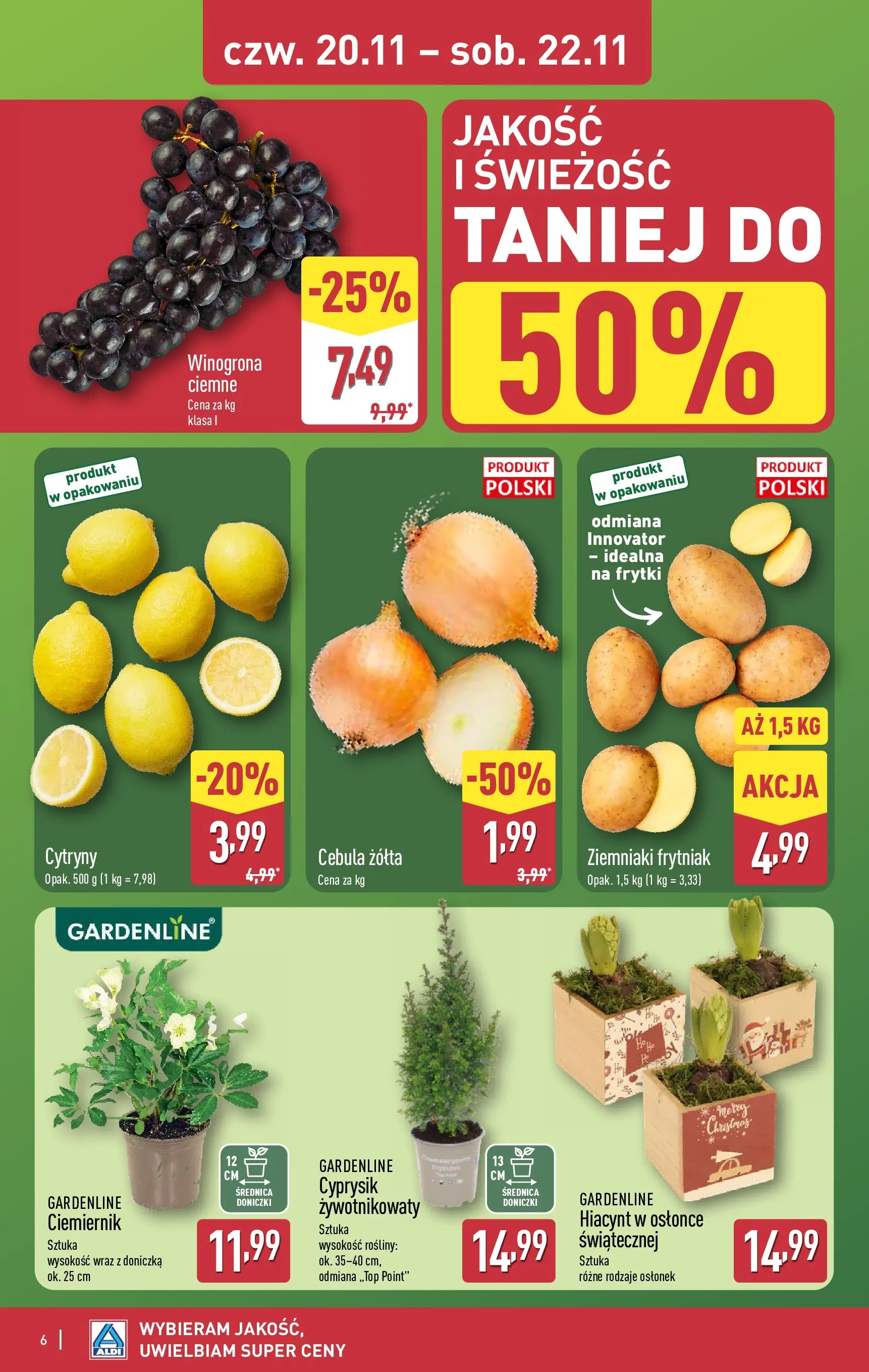 Aldi Gazetka - Okazje na weekend od 20.11.2025 - Ulotka PDF, promocje | Strona: 6 | Produkty: Cytryny, Doniczka, Doniczki, Frytki