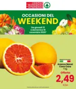 Despar Fresche Occasioni - al 16.11.2025