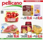 Pellicano Sconti fino al 50% - al 26.11.2025