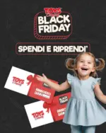 Toys company Toys company - al 13.11.2025