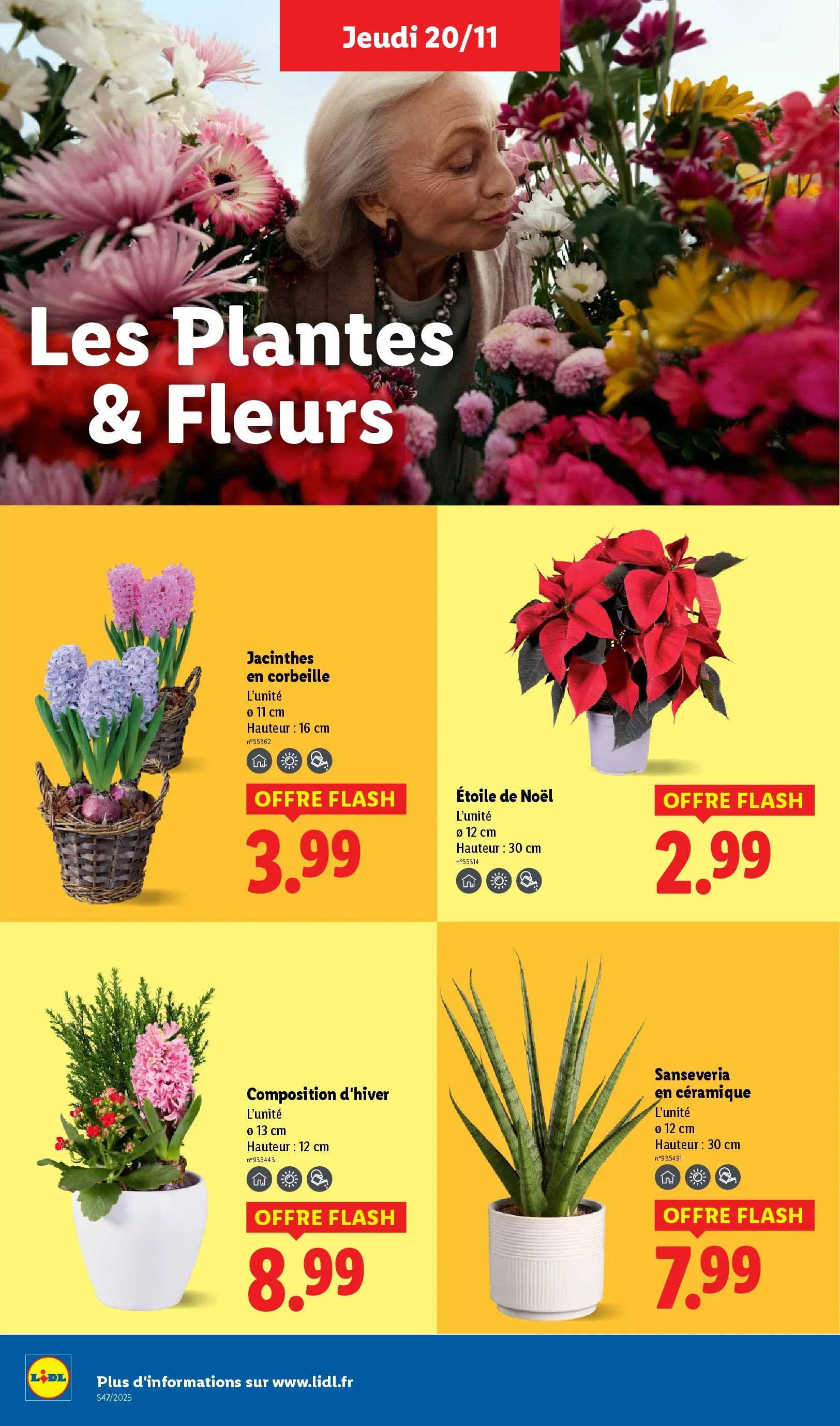 Catalogue LIDL du 19/11/2025 | Promo prospectus en ligne | Page: 36