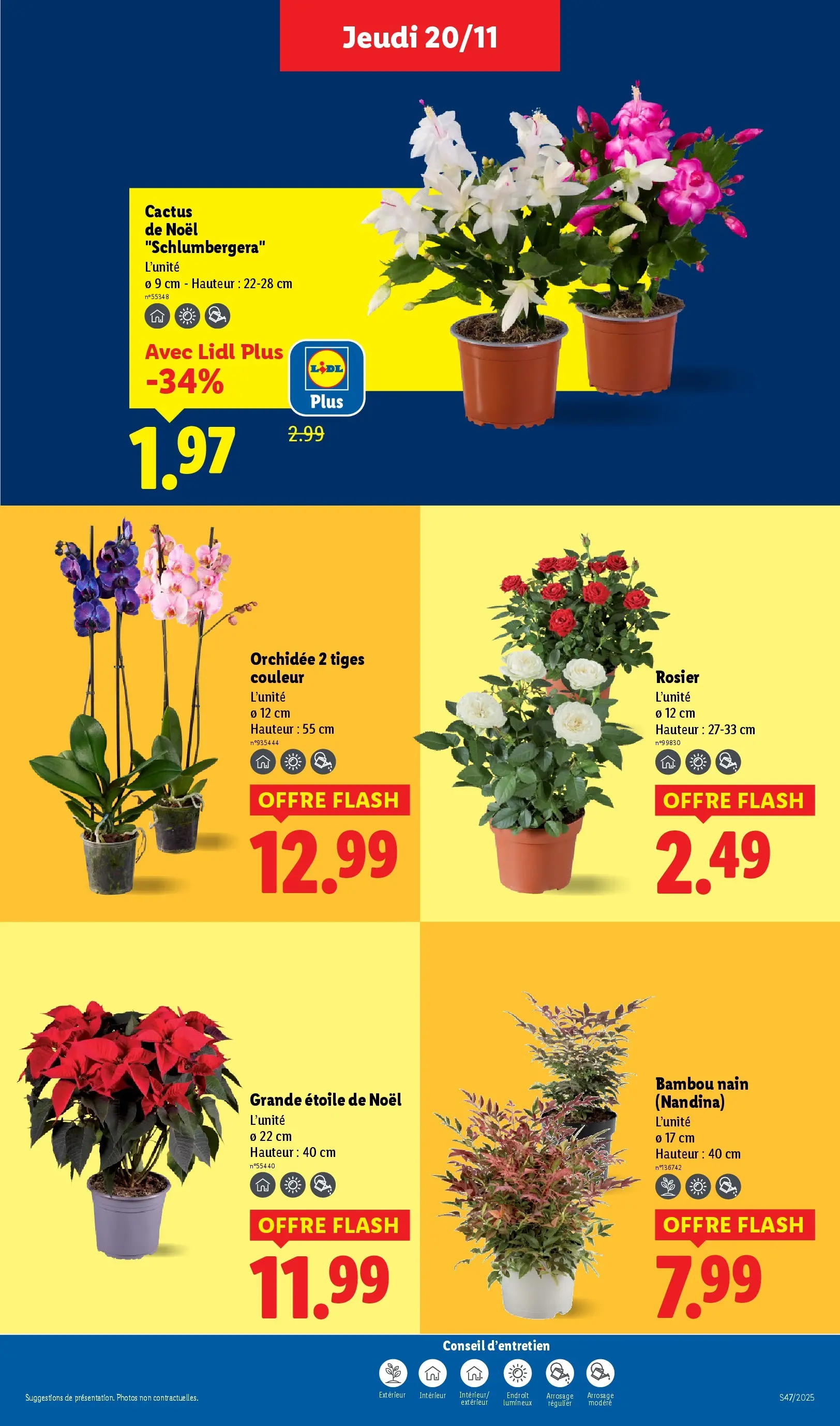 Catalogue LIDL du 19/11/2025 | Promo prospectus en ligne | Page: 37
