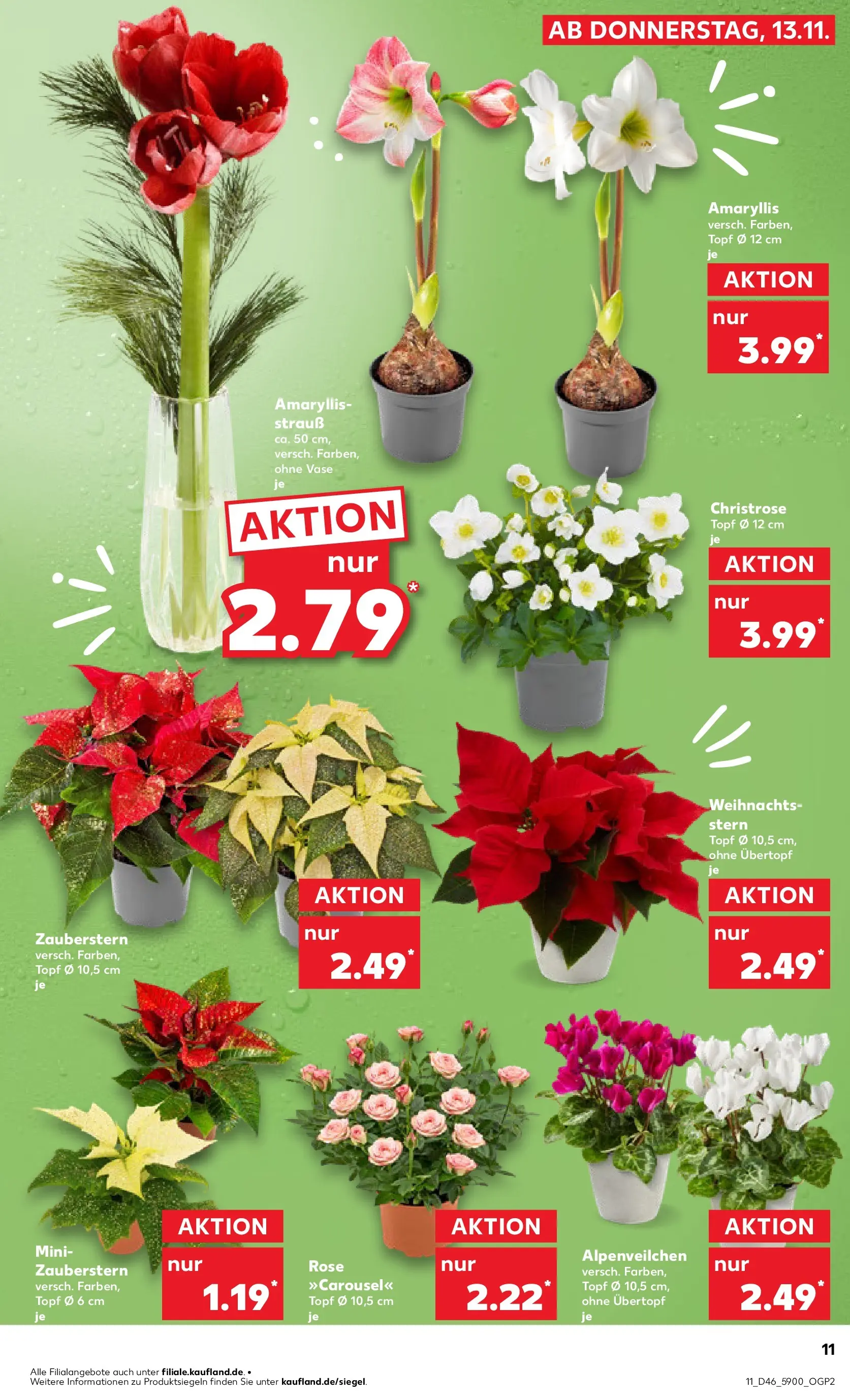 Prospekt Kaufland ab 17.11.2025 » Angebote Online zum Blättern | Seite: 11 | Produkte: Vase