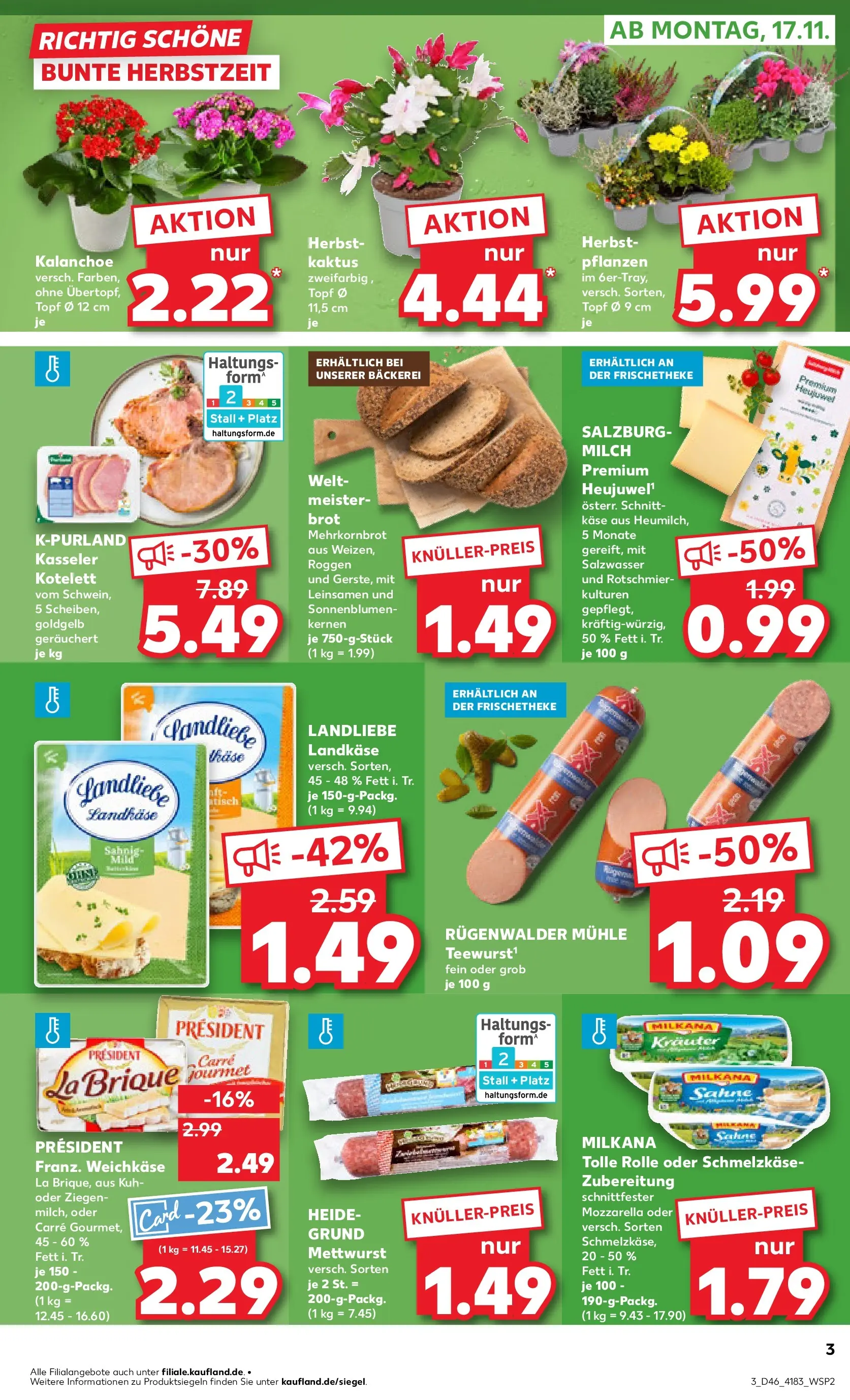 Prospekt Kaufland ab 16.11.2025 » Angebote Online zum Blättern | Seite: 3 | Produkte: Mühle, Bäckerei, Milch, Brot