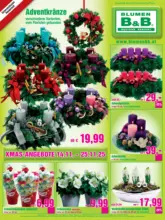 Blumen B&B Flugblatt