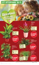 Kaufland хипермаркет Прекрасна Коледа с Kaufland с валидност до 23.11.2025 - до 23-11-25