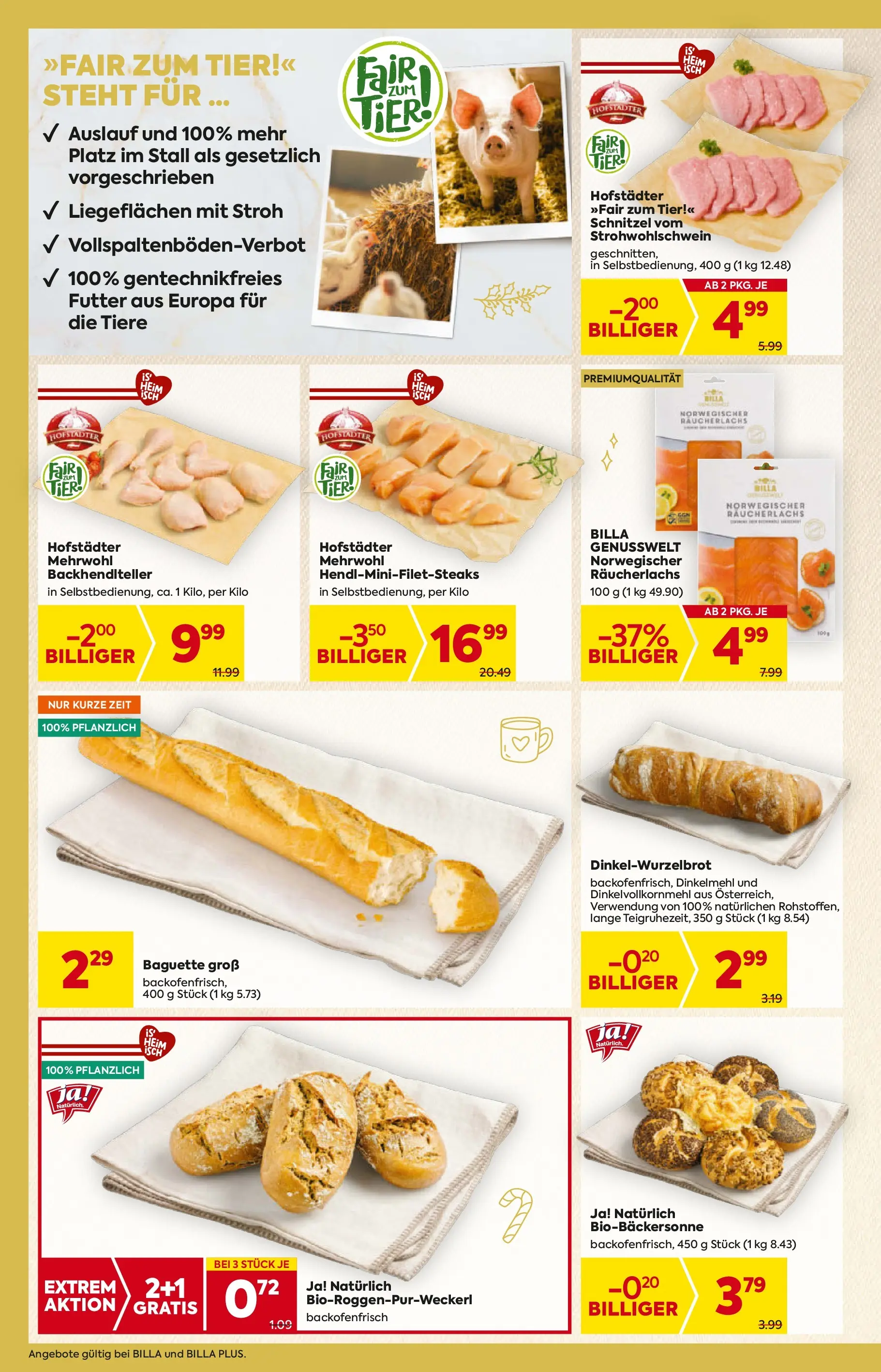 Billa - BILLA: Flugblatt gültig bei BILLA & BILLA PLUS ab 19.11.2025 - Angebote, Prospekt | Seite: 10 | Produkte: Jääkaappipakastin