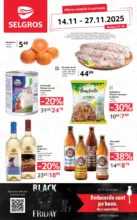 Catalog Selgros până în data de 27.11.2025