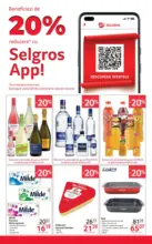 Catalog Selgros până în data de 27.11.2025