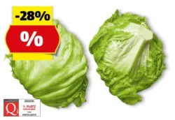 HOFER MARKTPLATZ Eisbergsalat