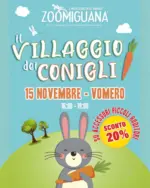 Zoomiguana Offerte Zoomiguana - al 15.11.2025