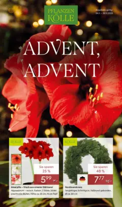 Pflanzen-Kölle - Pflanzen-Kölle: Advent, Advent ab 23.11.2025 gültig