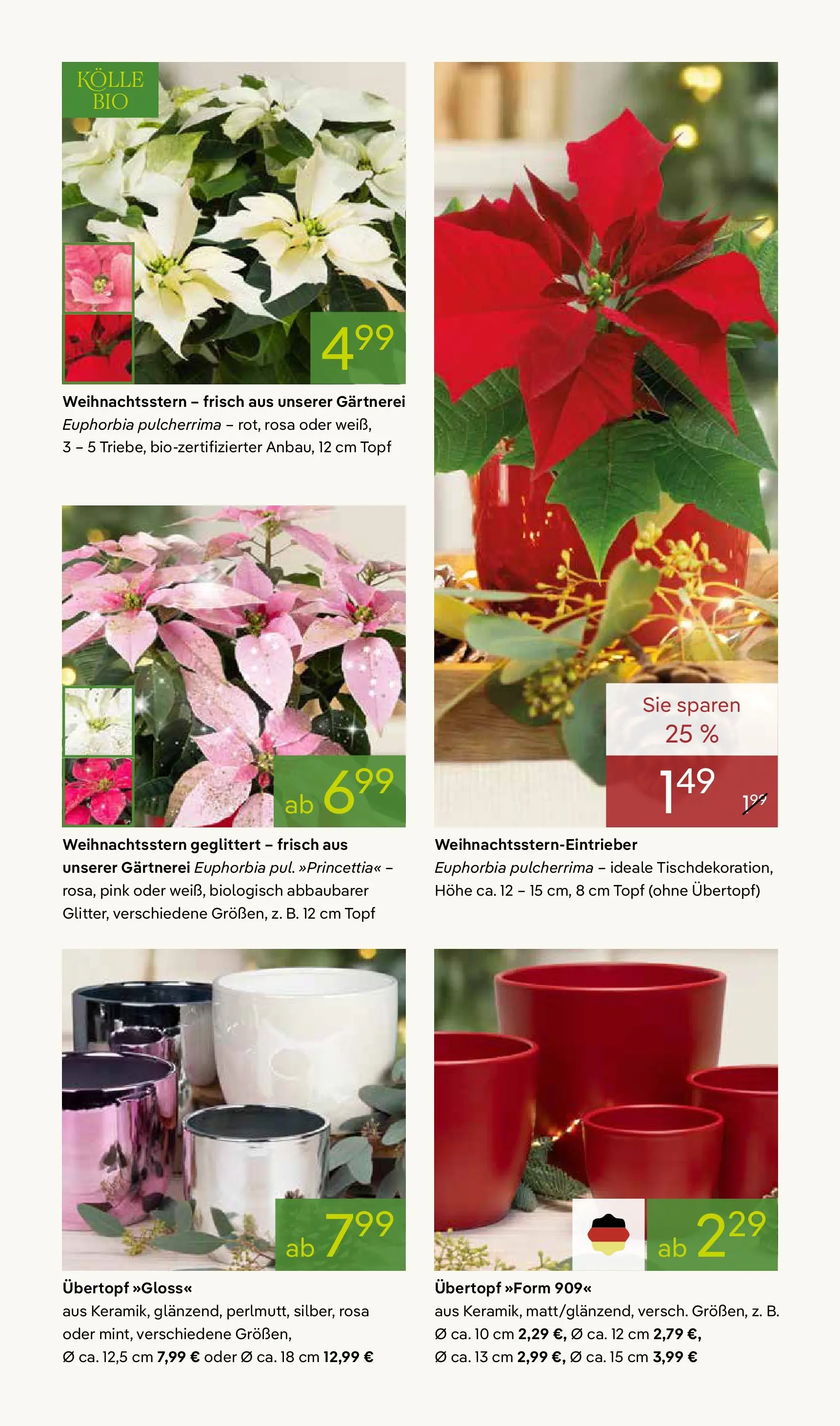 Pflanzen-Kölle - Pflanzen-Kölle: Advent, Advent (ab 24.11.2025) zum Blättern | Seite: 3