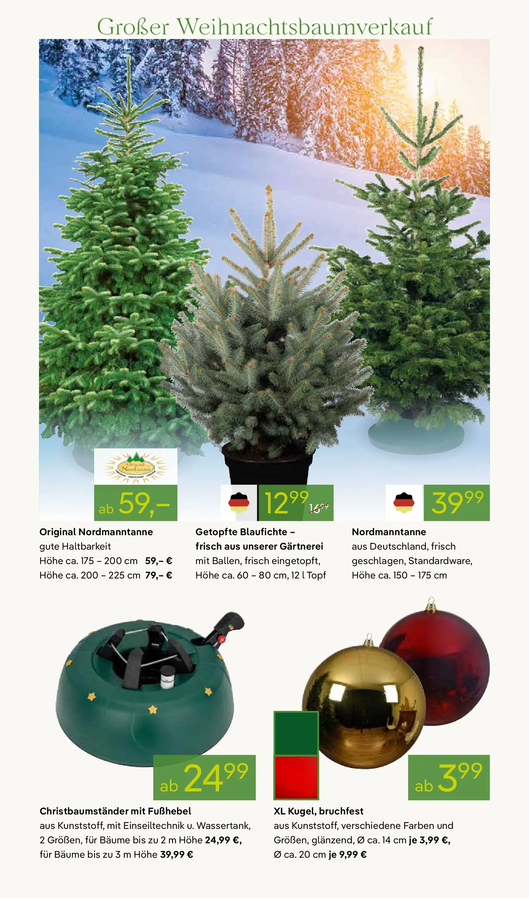 Pflanzen-Kölle - Pflanzen-Kölle: Advent, Advent (ab 24.11.2025) zum Blättern | Seite: 6