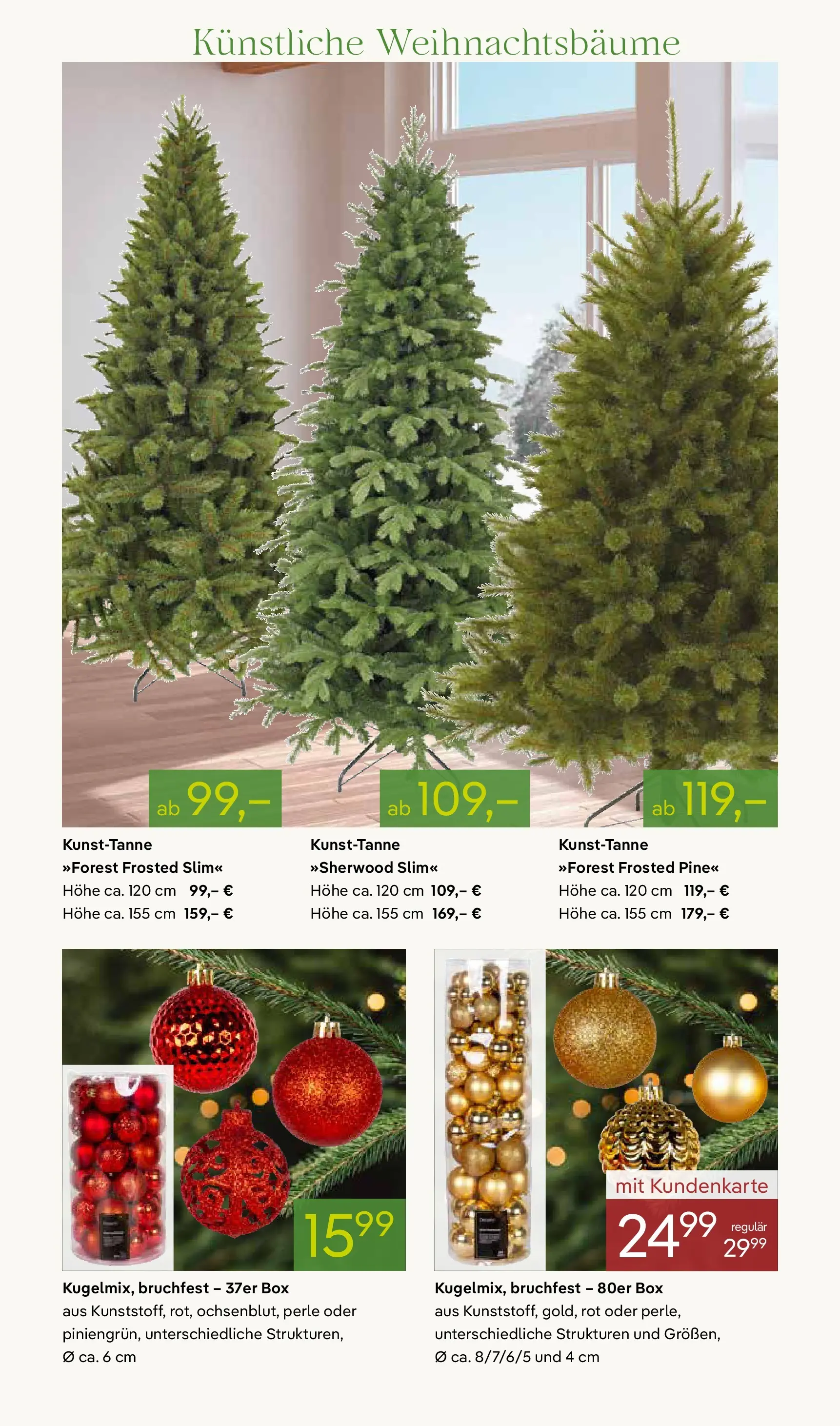 Pflanzen-Kölle - Pflanzen-Kölle: Advent, Advent (ab 24.11.2025) zum Blättern | Seite: 7 | Produkte: Box