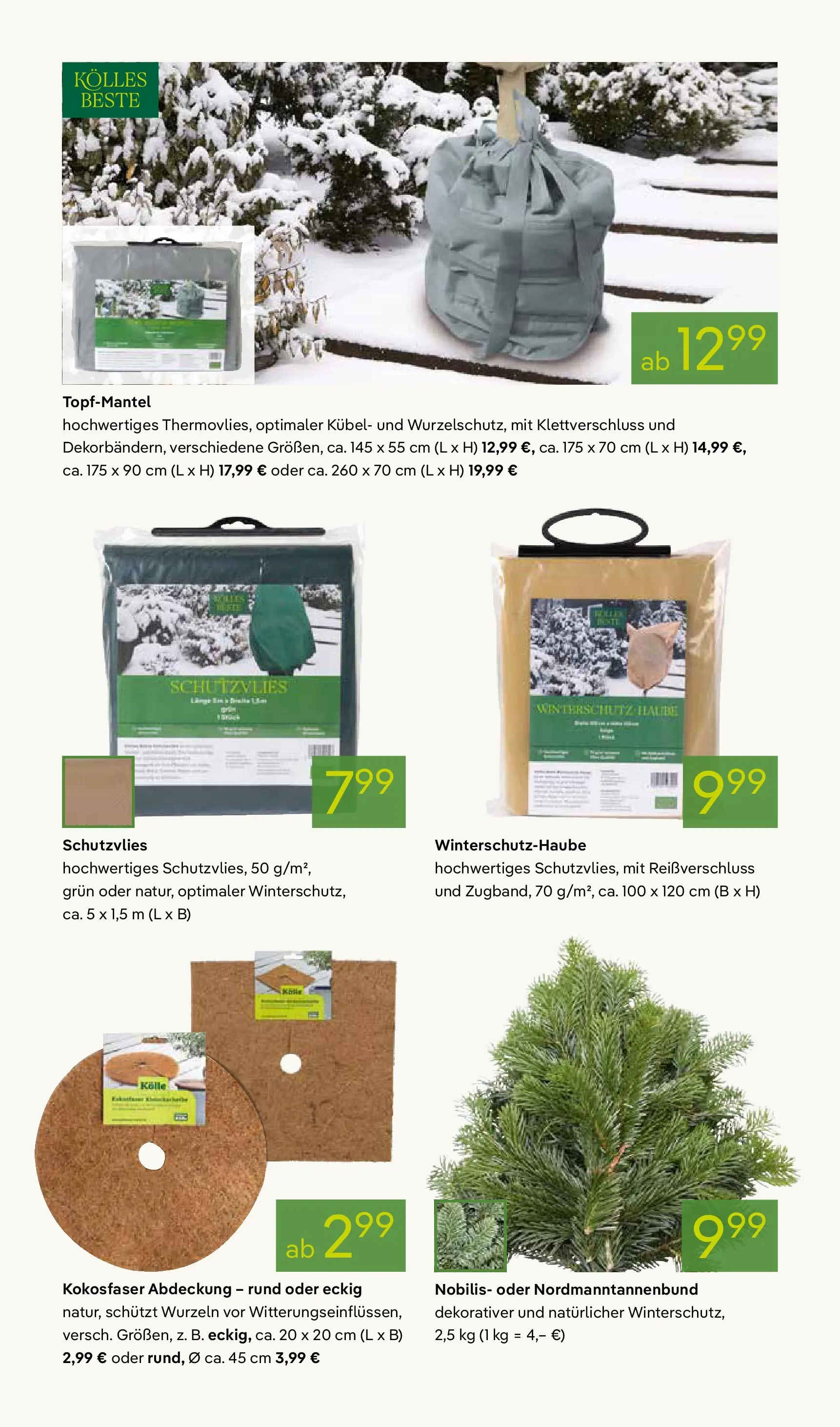 Pflanzen-Kölle - Pflanzen-Kölle: Advent, Advent (ab 24.11.2025) zum Blättern | Seite: 12