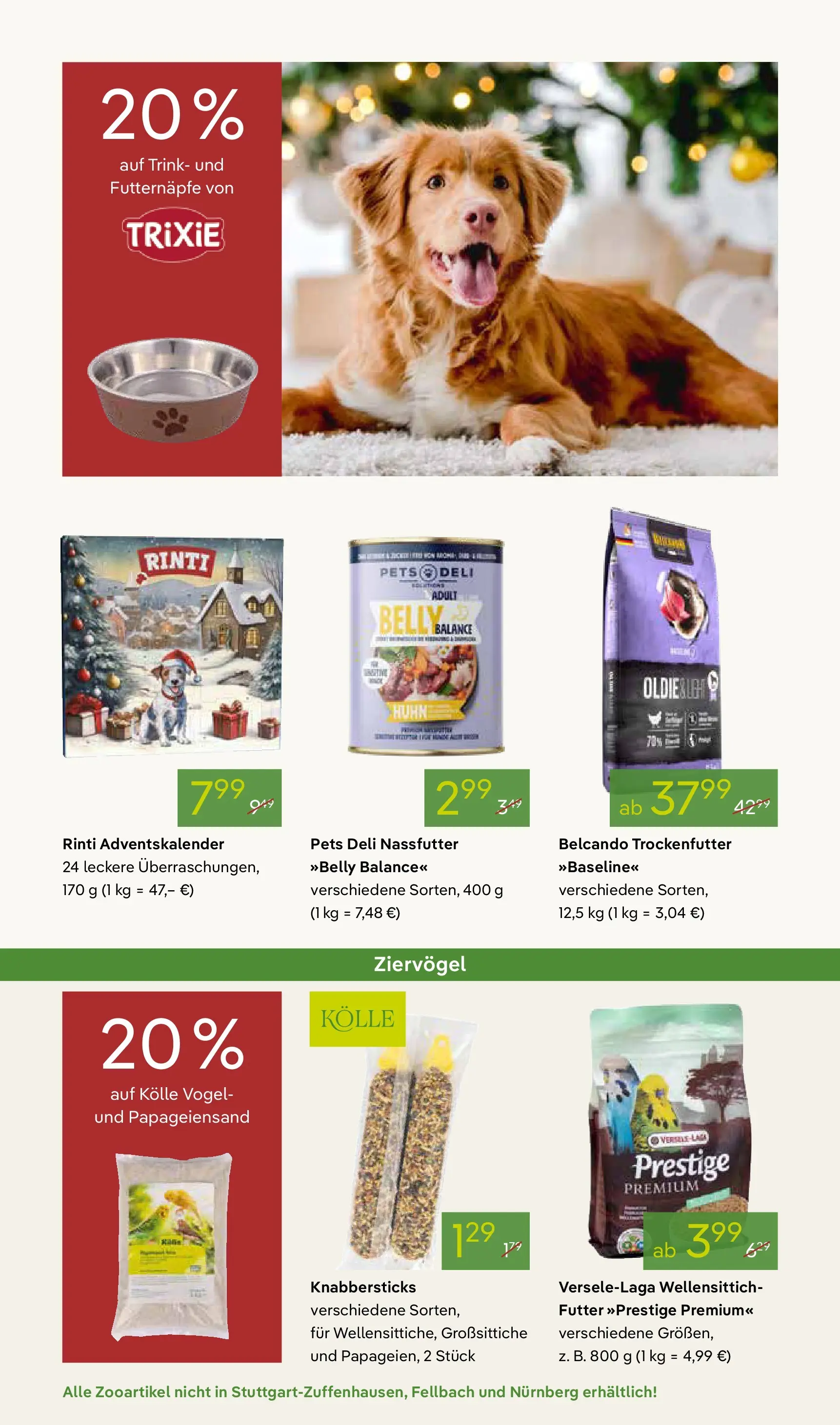 Pflanzen-Kölle - Pflanzen-Kölle: Advent, Advent (ab 24.11.2025) zum Blättern | Seite: 14