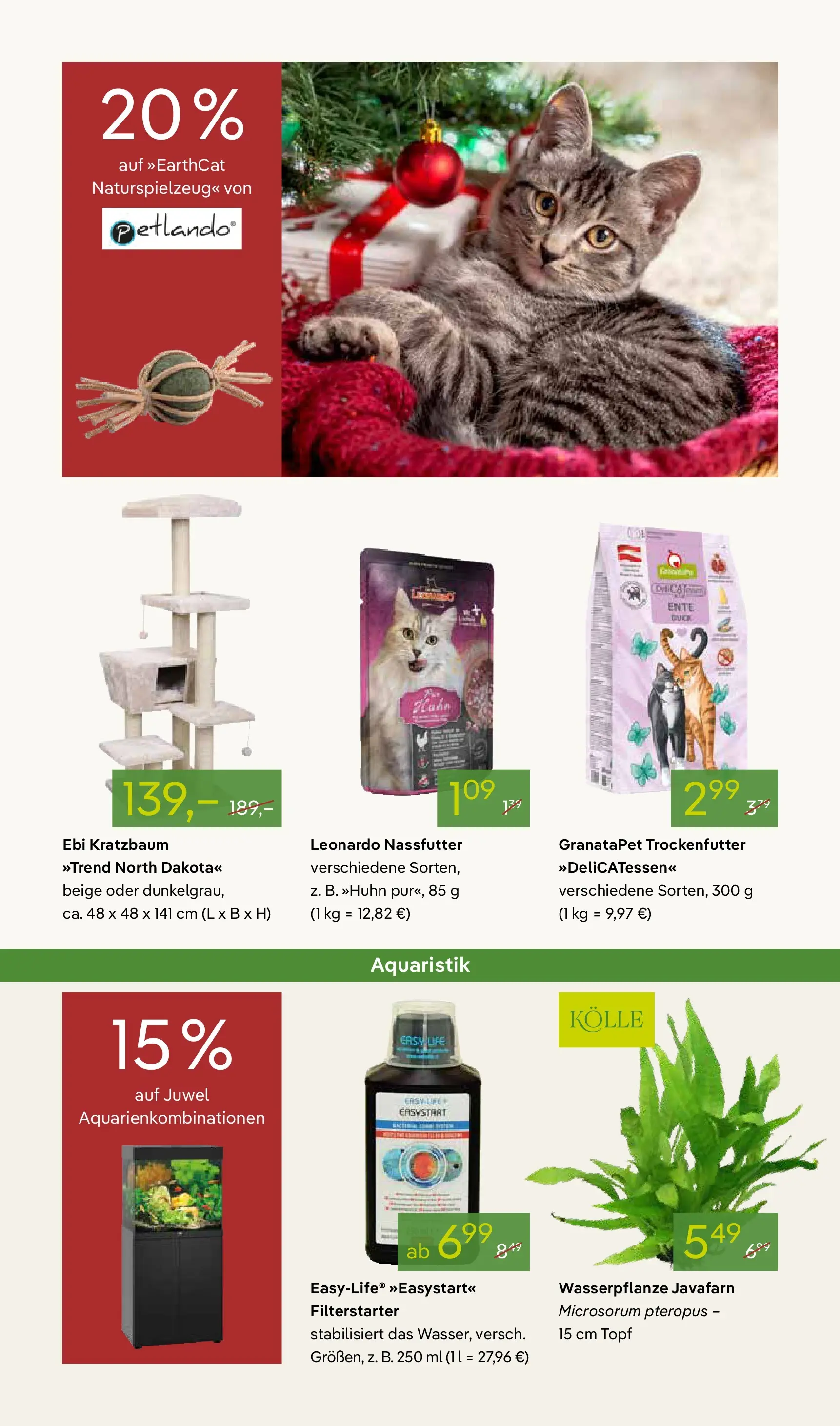 Pflanzen-Kölle - Pflanzen-Kölle: Advent, Advent (ab 24.11.2025) zum Blättern | Seite: 15 | Produkte: Ente