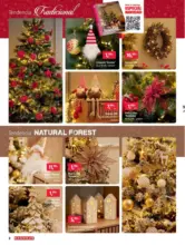 Bricolaje, reformas, decoración y jardín