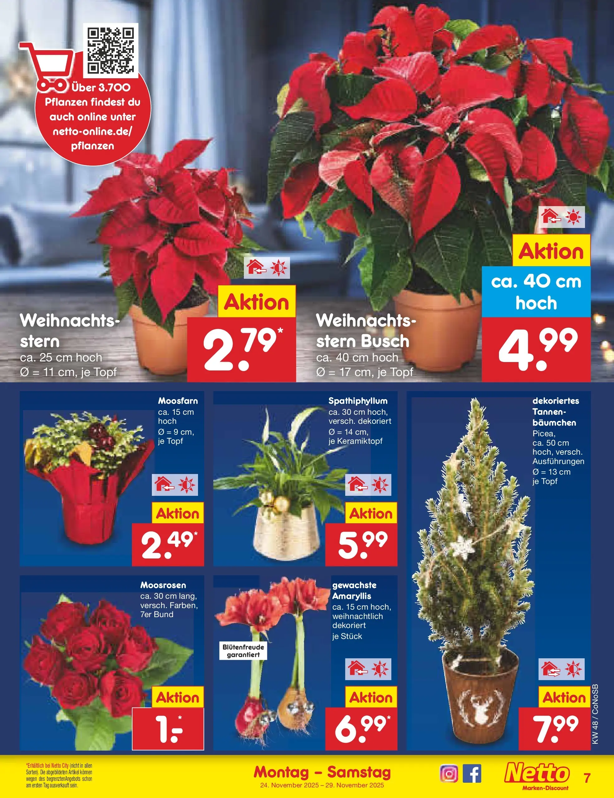 Netto Marken-Discount prospekt Kloster Lehnin	 (ab 24.11.2025) » Angebote | Seite: 7