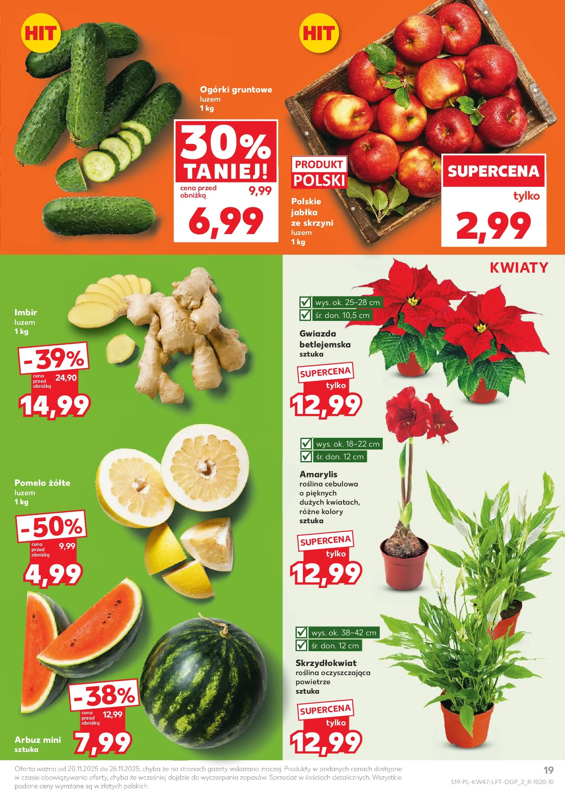 Kaufland gazetka od 20.11.2025 - od jutra PDF | Strona: 19 | Produkty: Imbir, Amarylis, Jabłka, Ogórki gruntowe