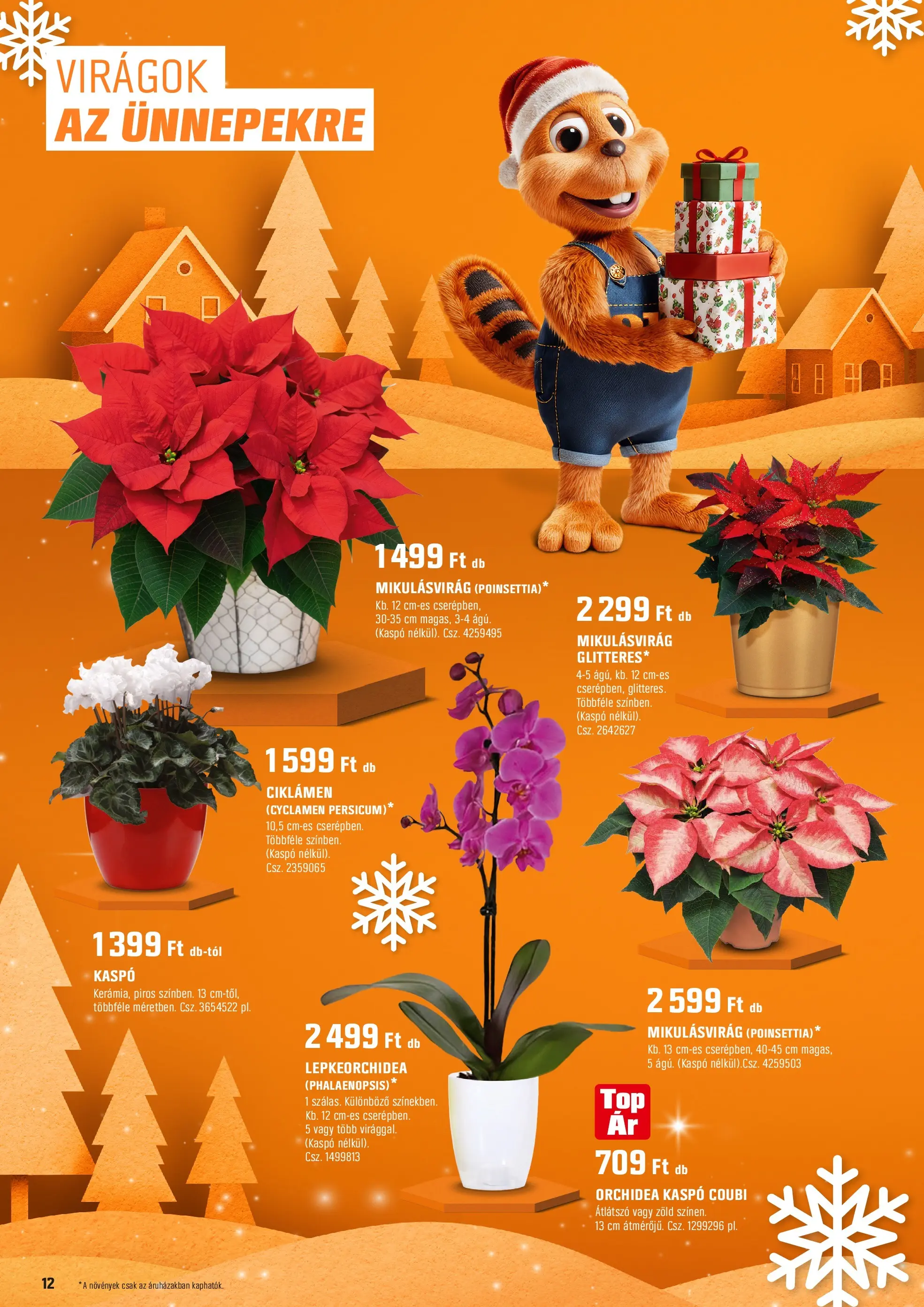 OBI - OBI újság érvényessége 2025.11.23-ig - 2025.11.21. -tól/töl > akció, lapozható szórólap 🛍️ | Oldal: 12 | Termékek: Orchidea, Virágok, Kaspó