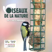 Iseaux de la nature