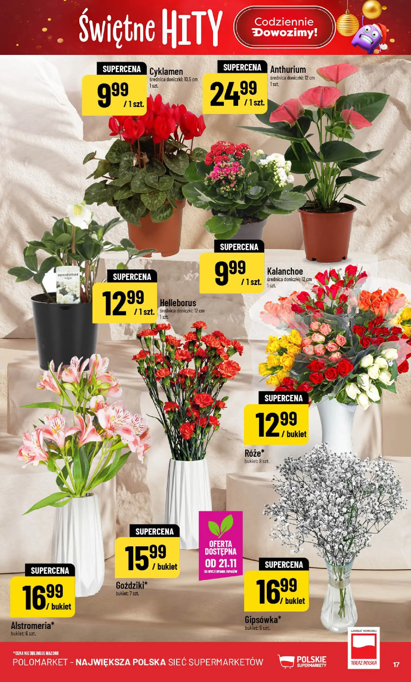Nowa POLOmarket gazetka od jutra (19.11.2025) | Strona: 17 | Produkty: Doniczki, Kalanchoe Nowa POLOmarket gazetka od jutra 19.11.2025 (PDF) | Strona: 17 | Produkty: Doniczki, Kalanchoe