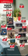 Nueva Calidad Dia del 19/11 al 25/11