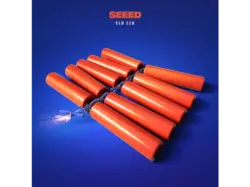 Seeed - Bam [CD]