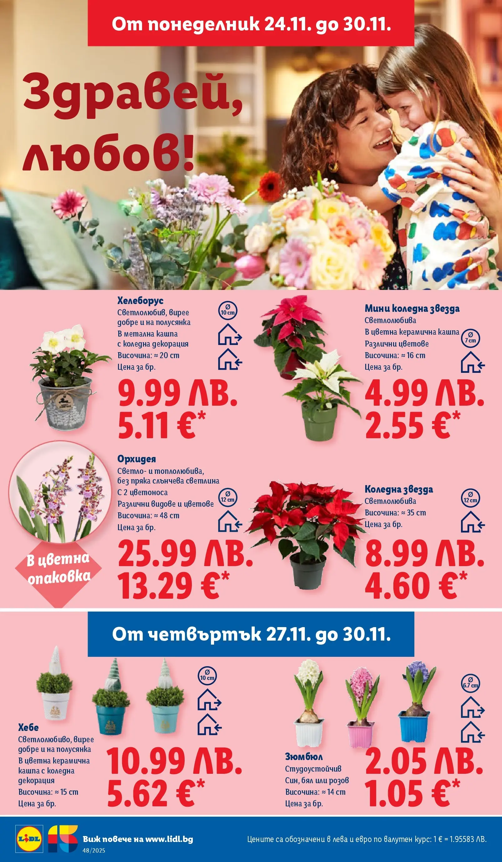 Лидл - Чудесата си заслужават с ЛИДЛ предложения с валидност до 30.11.2025 от 23.11.2025 | Страница: 54